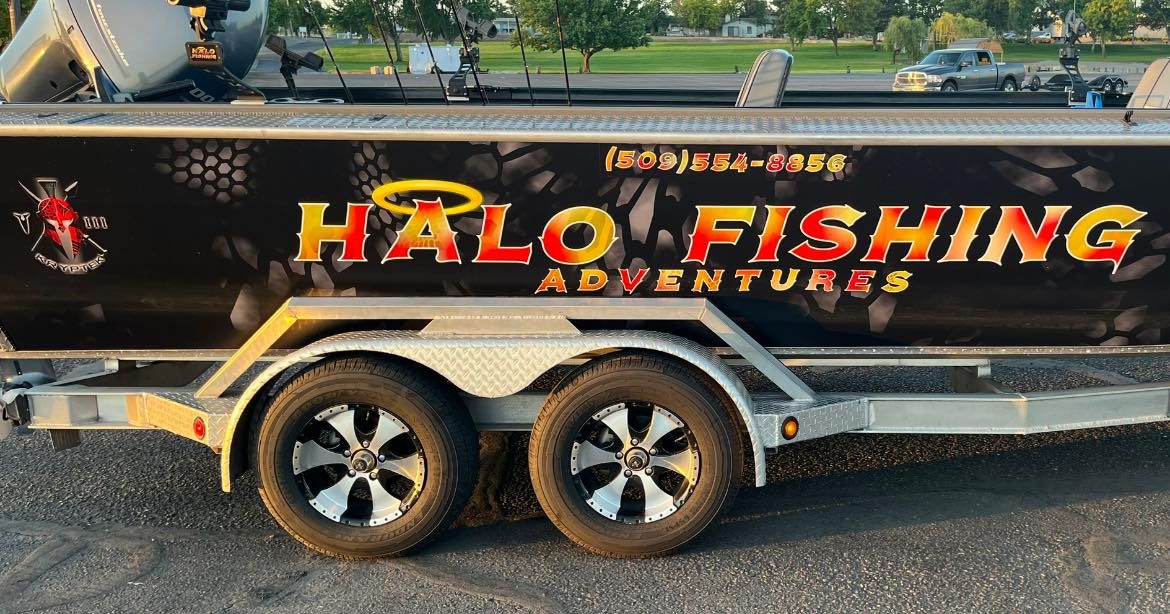 Walleye Fishing Adventures in Bellingham | Halo Fishing Adventures - Seattle